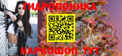 дмт Волжский