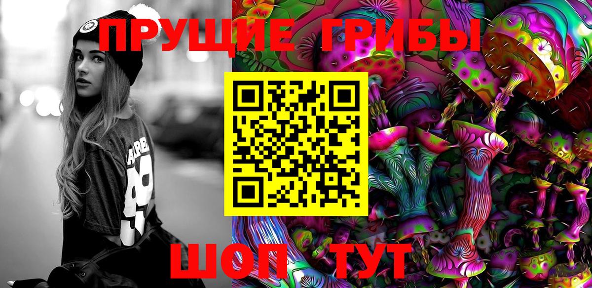 Галлюциногенные грибы Psilocybe Мценск